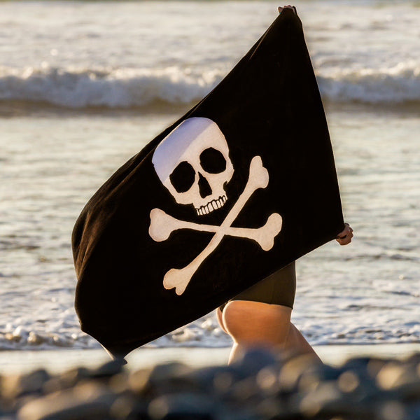 YE FELLOW SCALLYWAGS!