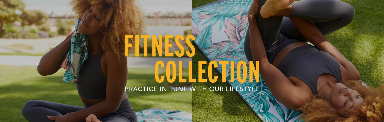 Fitness Collection (Old)