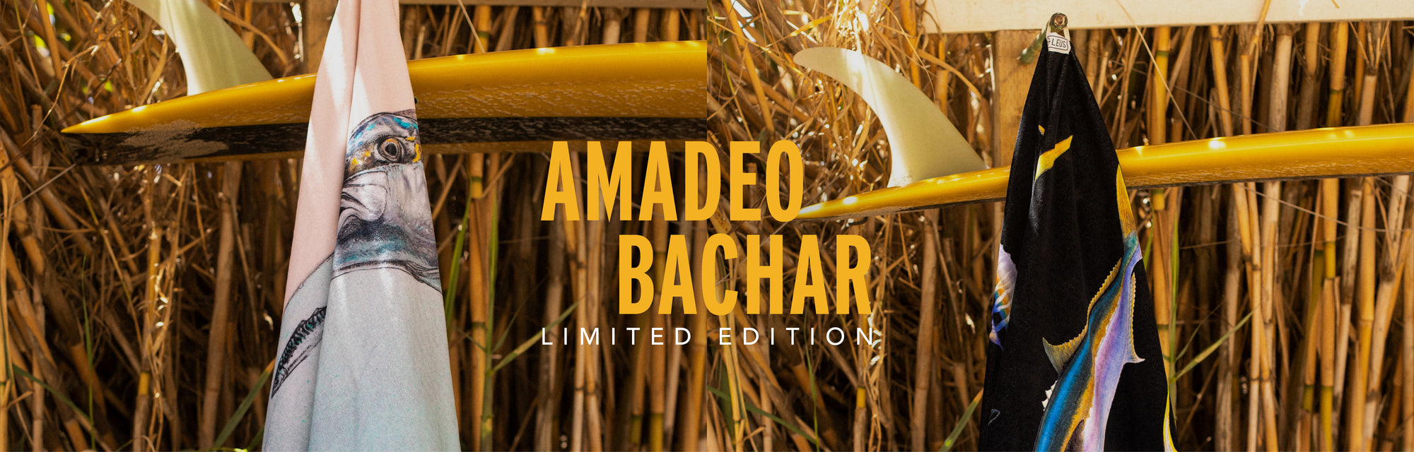 Amadeo Bachar